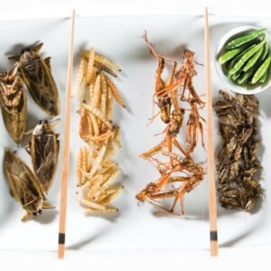 Eating insects a step too far for some