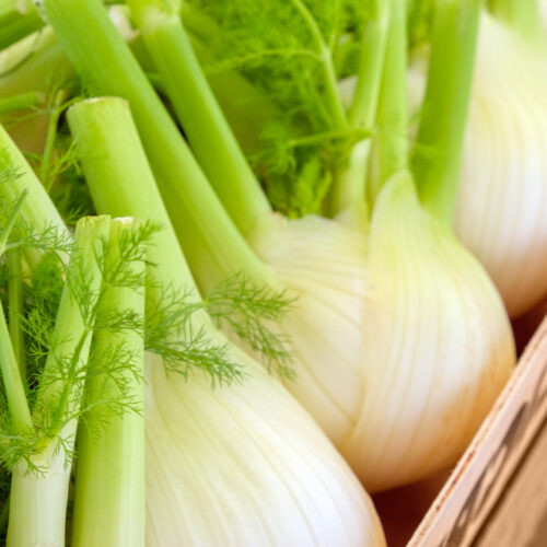 The health benefits of fennel