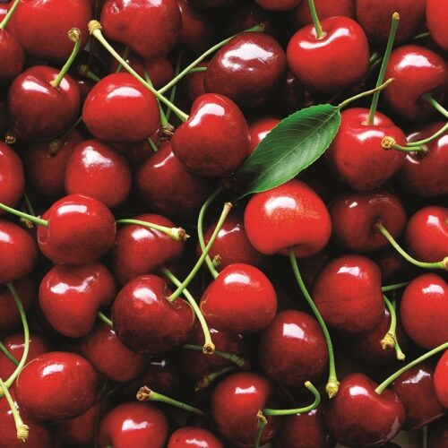 Fruit spotlight: Cherries