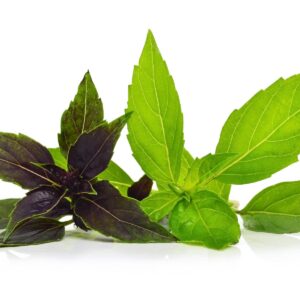 In season early summer: Thai basil, Lebanese cucumber, radishes