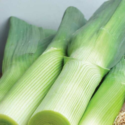 Lovely leeks