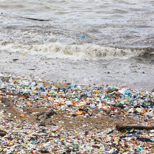 Takeaway containers among top ocean litter items