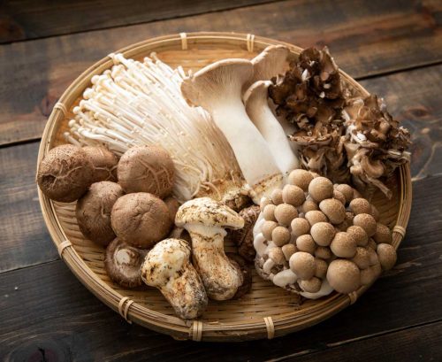 A variety of edible mushrooms